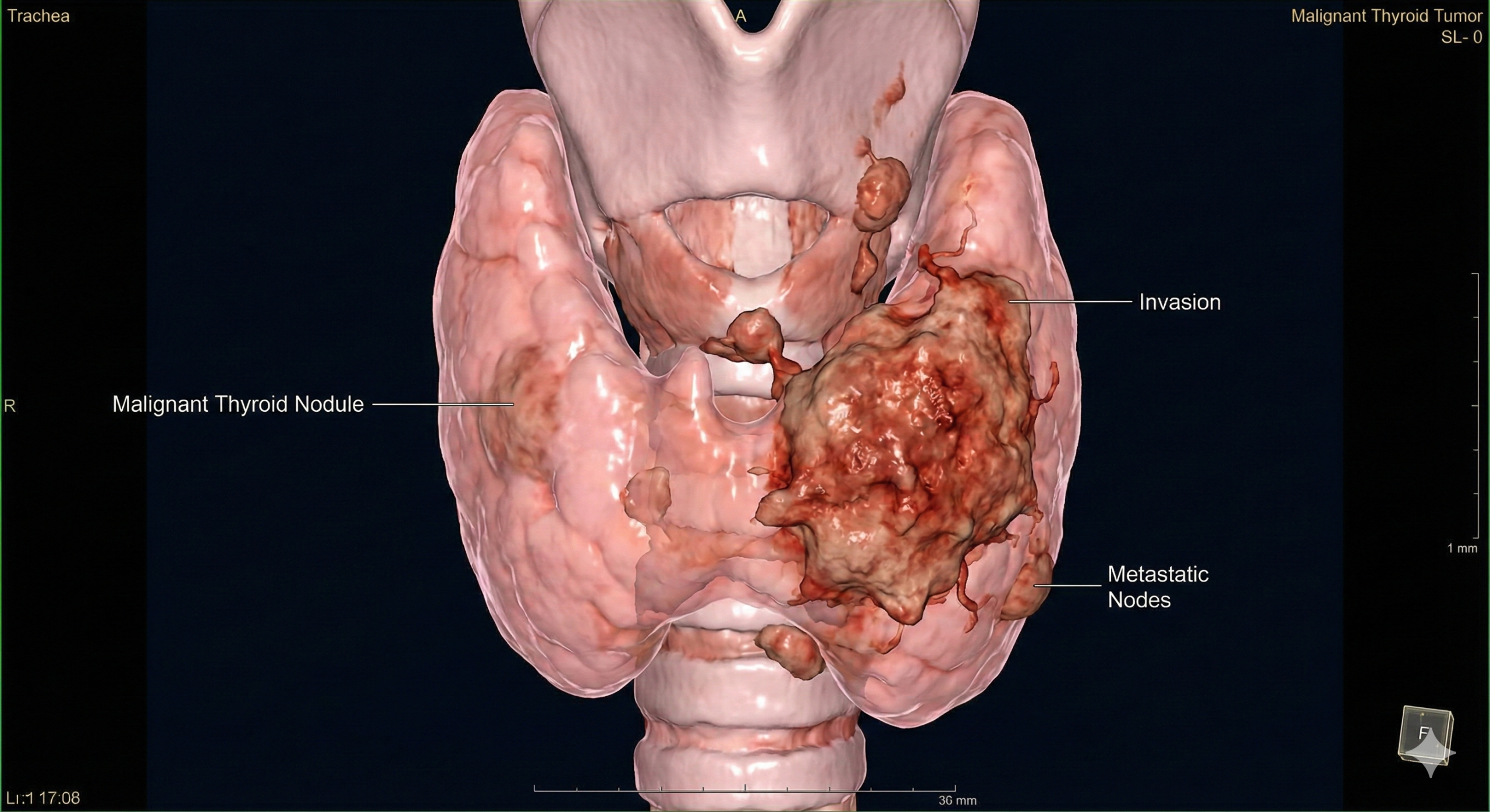 Gemini Generated Image rmdp7crmdp7crmdp scaled